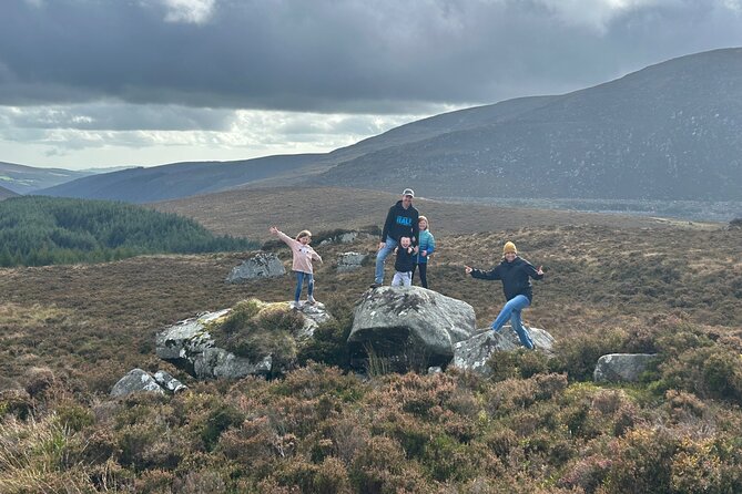 Sheepdogs in the countryside, authentic Dubliners city tour combo - Fishamble Street and the medieval city gate area