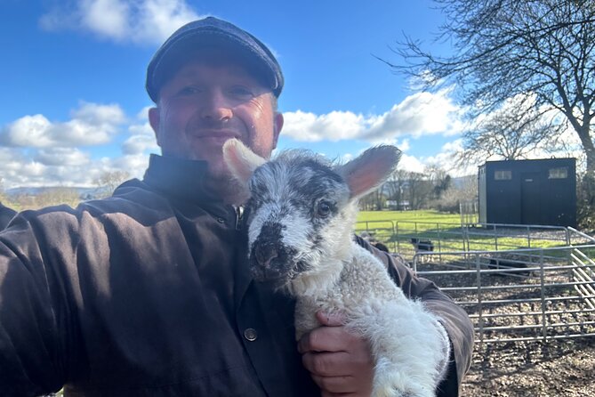 Sheepdogs in the countryside, authentic Dubliners city tour combo - Price and what the group can realistically get out of it