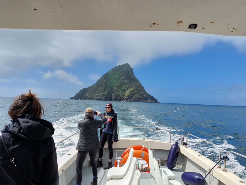 Skellig Michael: Skellig Sightseeing Cruise with AquaTerra - Great Skellig: wildlife time, dolphin chances, and guided island context