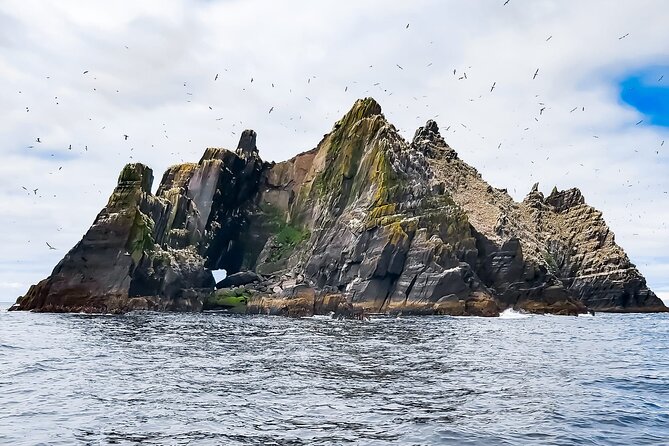 Skellig Michael : Ultimate Skellig Coast Tour with AquaTerra - Skellig Michael and Small Skellig, seen up close without the landing