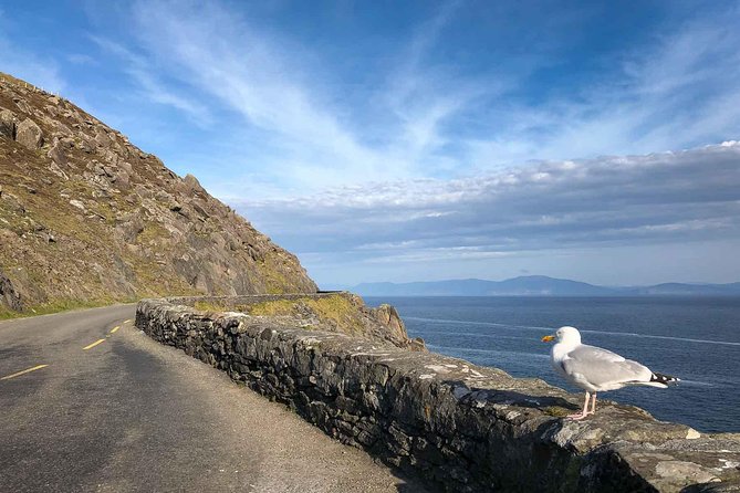 Slea Head Photo & Sightseeing Tour - Meeting point and how you’ll get there without stress