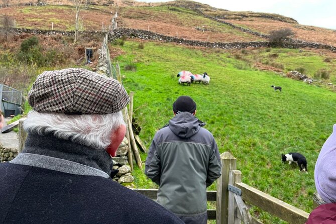 Small Group Kylemore Abbey, Sheepdog Demo & Connemara Tour - Galway to Connemara, without the rental car headache