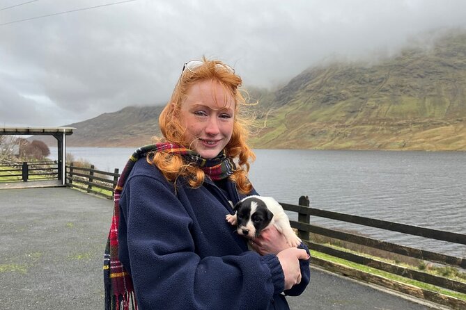 Small Group Kylemore Abbey, Sheepdog Demo & Connemara Tour - Leenane and Killary Fjord, a lunch stop with big views