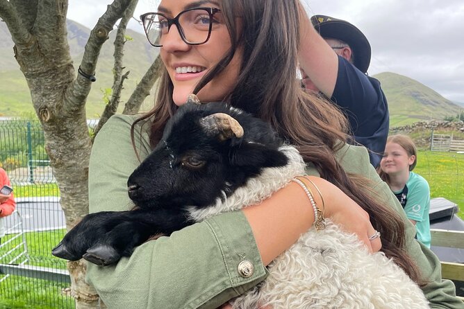 Small Group Kylemore Abbey, Sheepdog Demo & Connemara Tour - What 7.5 hours feels like in real life, and what to pack