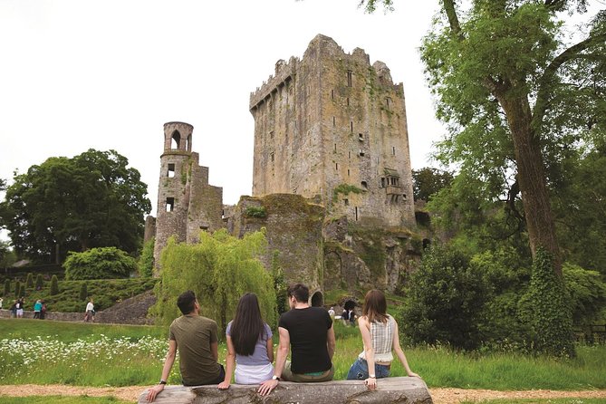 (Small Group) Shore Tour from Cork: Blarney Castle & Jameson Distillery - Cork city drive and the Kinsale forts viewpoint you get from the window