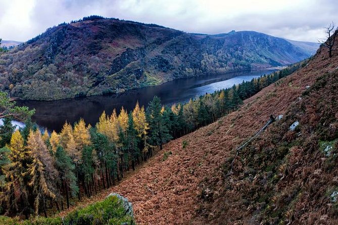 (Small Group) Shore Tour from Dublin:Dublin Highlights and Glendalough Day Trip - Price and value for a cruise day: what $130.97 really buys