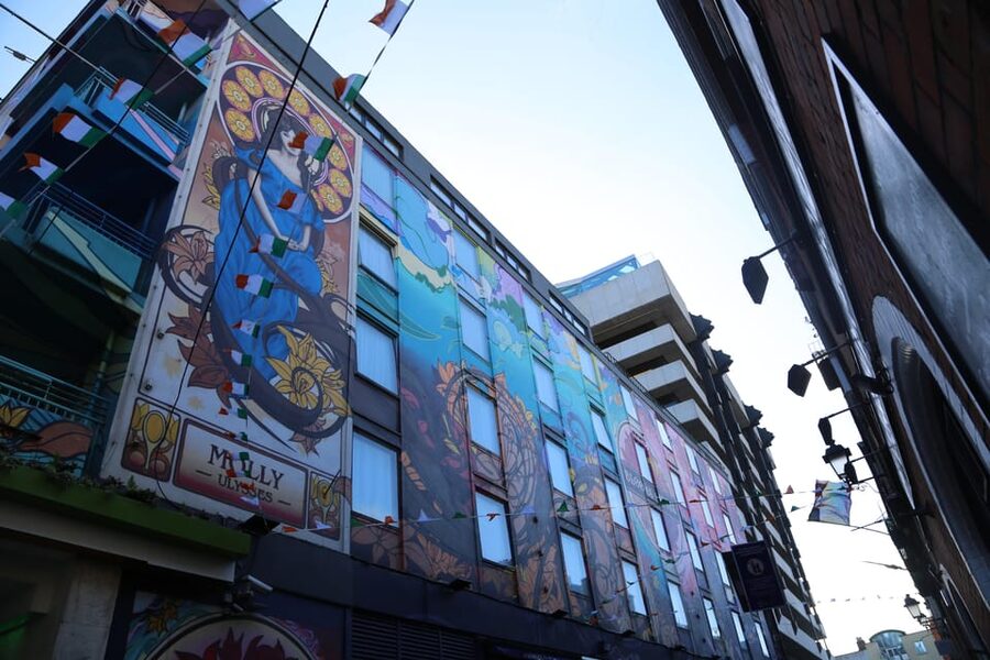 Street Art Walking Tour - Should you book this Dublin street art walking tour?
