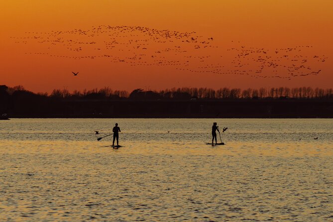 Sunset SUP experience in Malahide, Dublin - Key things to know before you go