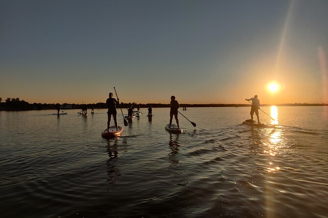 Sunset SUP experience in Malahide, Dublin - Meeting at Malahide Yacht Club and starting with a land-based lesson