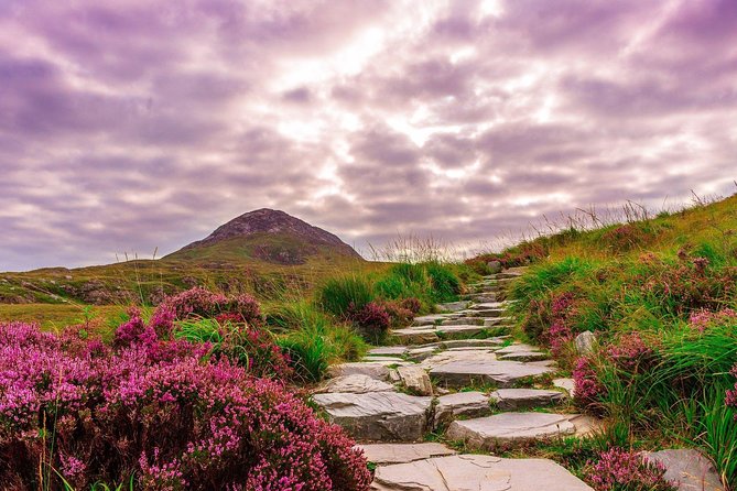 Sustainable Connemara and Galway Bay Rail Tour from Dublin - Galway Bay return: Burren views and what you’ll see on the drive back