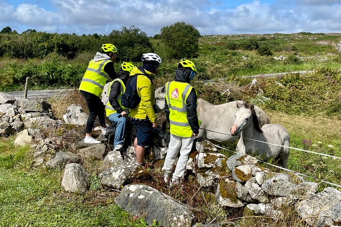 Taste of Connemara Tour by Electric Fat Tyre Bike - Entering Connemara Mode on Electric Fat Tyres