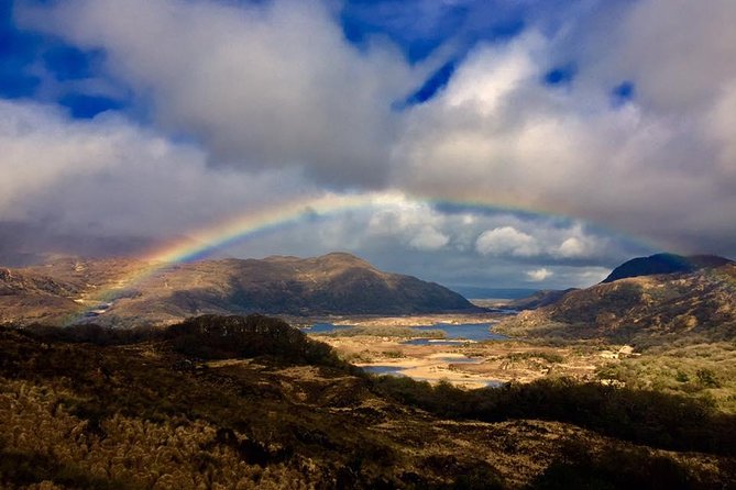 The Best Two Day Tours in Ireland: The Ring of Kerry and Dingle Slea Head Tours - The guide factor: Gerard Scott, Bertie, Sean, and why it matters