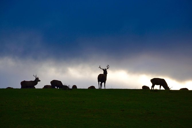 The Best Two Day Tours in Ireland: The Ring of Kerry and Dingle Slea Head Tours - What to pack for all-weather Ring Road days