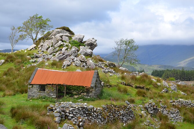The Best Two Day Tours in Ireland: The Ring of Kerry and Dingle Slea Head Tours - Best for families, friends, and travelers who hate rushing