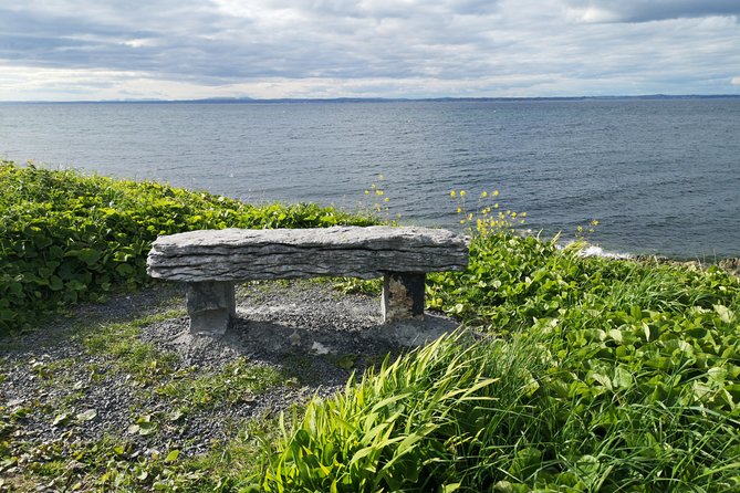 The Burren and Cliffs of Moher Private Tour from Galway - Poulnabrone Dolmen and Caherconnell Fort: ancient stone on high ground