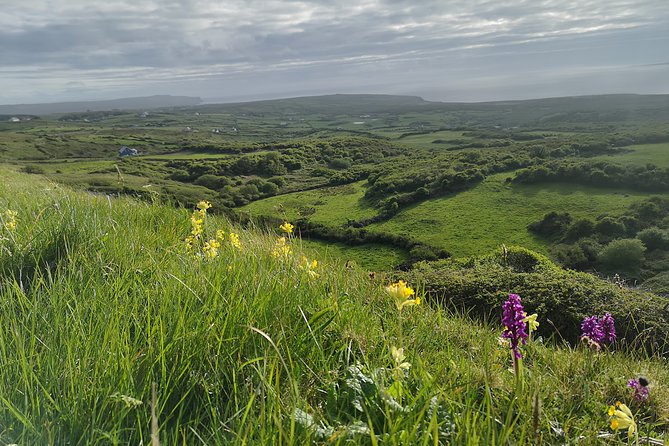 The Burren and Cliffs of Moher Private Tour from Galway - Corkscrew Hill and Slieve Elva: why the drives are part of the experience