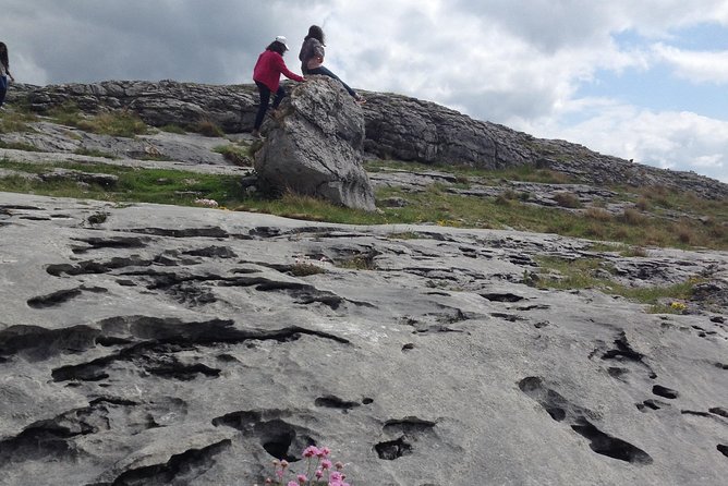 The Cliffs of Moher and Burren National Park Private Tour. - Bunratty Castle and Folk Park Photo Stop: Quick, Scenic, and Optional