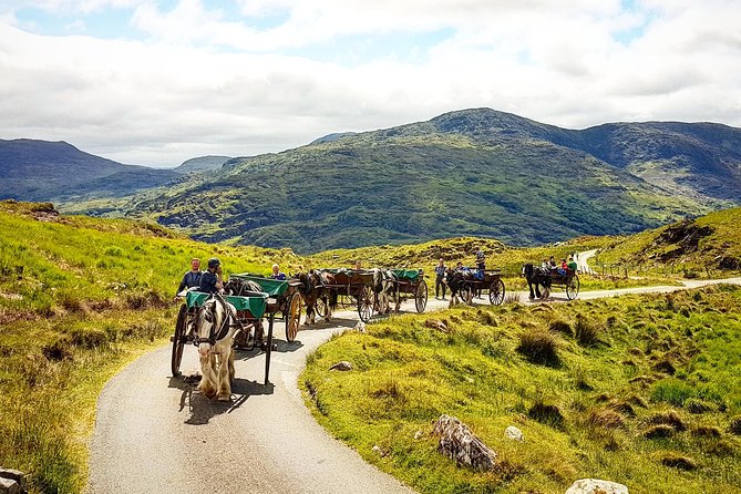 The Gap of Dunloe Adventure Day Tour from Killarney - Black Valley jaunting: a remote feeling and a slow, horse-driven pace