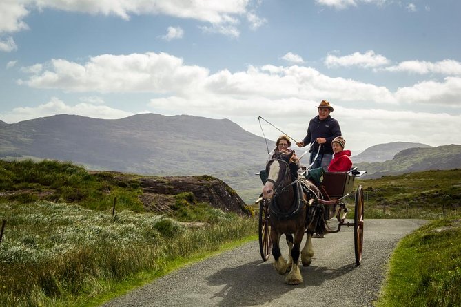 The Gap of Dunloe Adventure Day Tour from Killarney - Value check: what you get for around $205.59