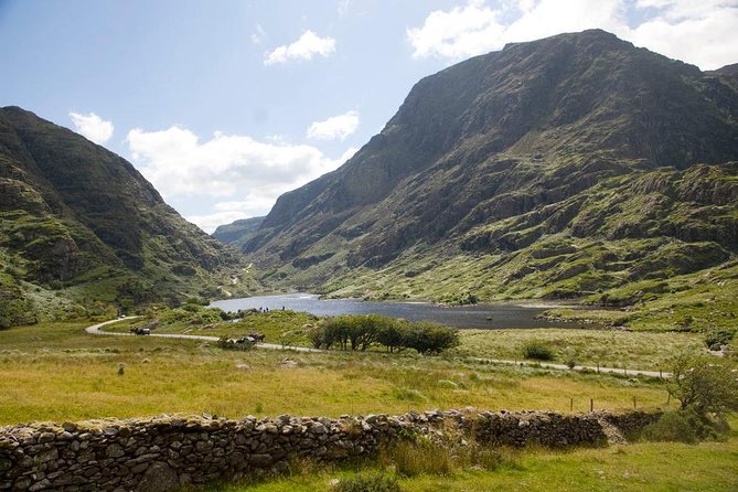 The Gap of Dunloe Adventure Day Tour from Killarney - Ross Castle start point: timing, admissions, and what you’ll actually do