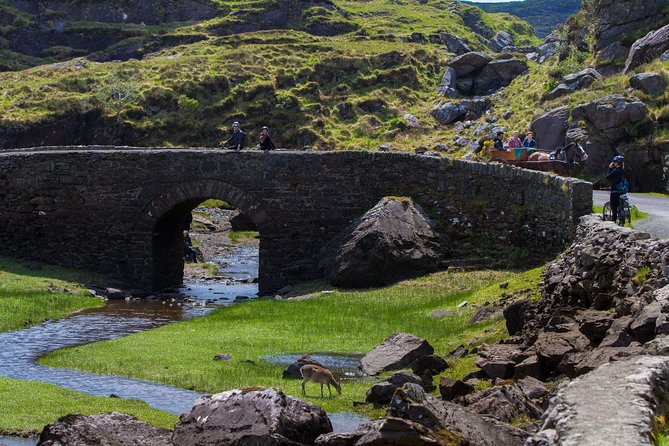 The Gap of Dunloe Full-Day Tour from Killarney - Jaunting carts through the Gap: when you want the scenery, not the slog