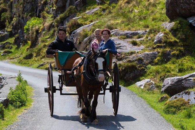 The Gap of Dunloe Full-Day Tour from Killarney - The Gearhameen and the Lakes cruise: the part you’ll remember