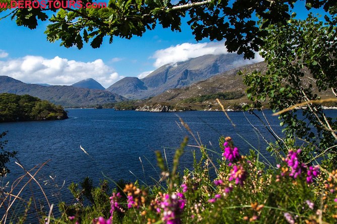 The Gap of Dunloe Full-Day Tour from Killarney - Price and value: why this day costs less than two separate trips