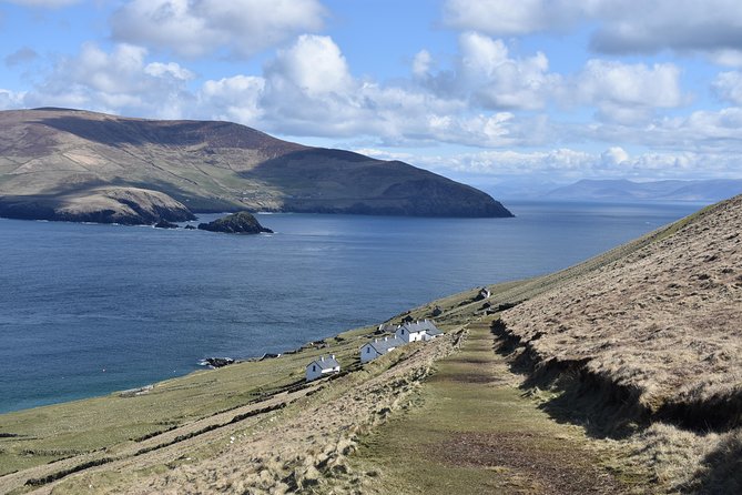 The Great Blasket Island Experience - Premium Tour - Grey seals on the northern shore: wildlife watching that feels close