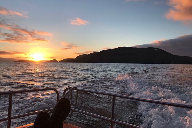 The Great Blasket Island Experience - Premium Tour - Group size, guide style, and why names show up again