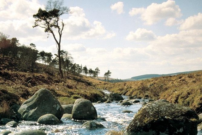 The Original Award Winning Wild Wicklow Tour incl. Glendalough - Glendalough Monastic Settlement: St Kevin, the Round Tower, and Two-Lake Time
