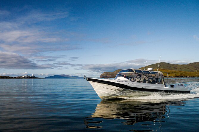 The Valentia Island Experience - Key things that make this Valentia boat trip worth your time