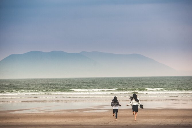 The Wild Coast of Dingle Peninsula and Slea Head from Killarney - Key Highlights You Should Know