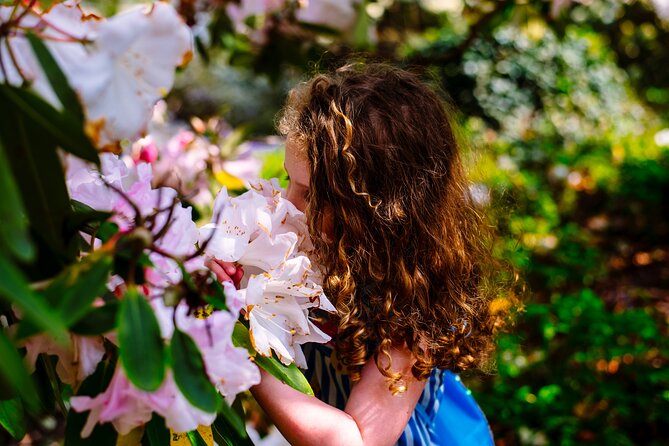 Tickets to Explore Ireland's Global Garden - Key things to know before you go