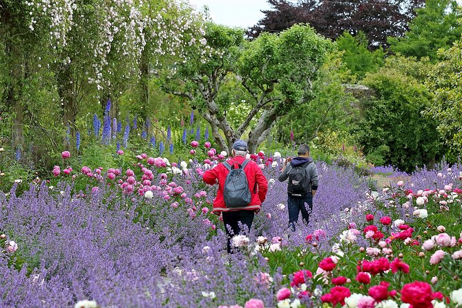 Tickets to Explore Ireland's Global Garden - The 16km walk: how to pace yourself through the woodlands
