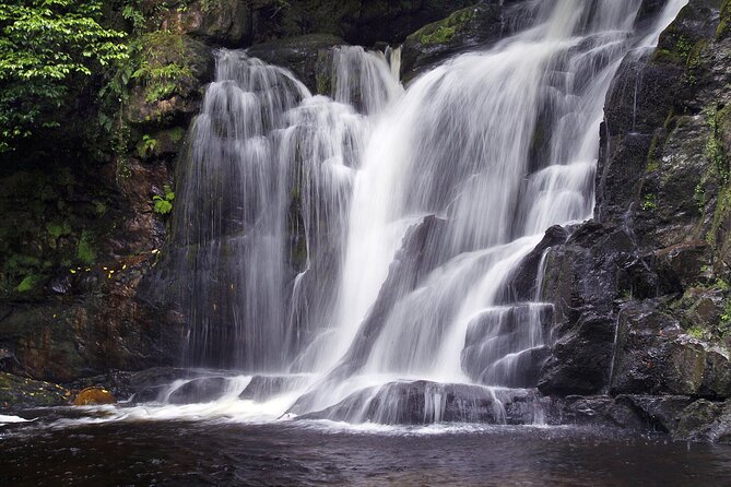 Torc mountain & waterfall hike. Killarney. Private guided group. 3½ hours. - Wildlife talk and why it makes the hike better