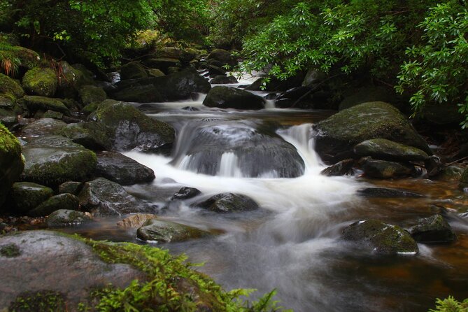 Torc mountain & waterfall hike. Killarney. Private guided group. 3½ hours. - Meeting point, private-group setup, and guide attention