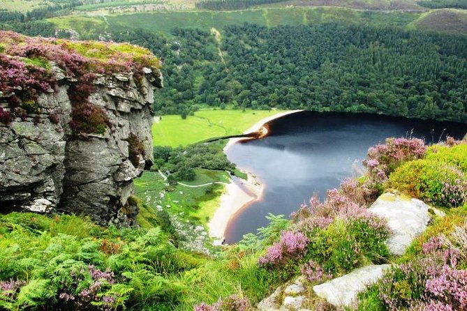 Tour Wicklow Mountains National Park in a limo with private guide - Private limousine from Dublin, built for real time on the road