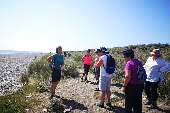 Tour Wicklow Mountains National Park in a limo with private guide - Who this full-day Wicklow plan fits best