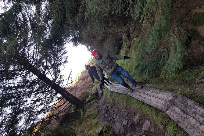 Trek the Tombs and Trails in the Dublin Mountains - Ridge Walking, Evergreen Forest, and the Downhill That Resets Your Legs