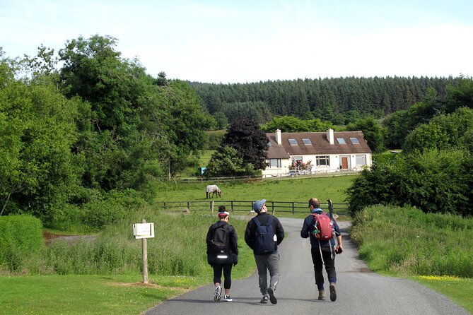 Trek the Tombs and Trails in the Dublin Mountains - Getting the Most From a 7-Hour, Moderate-Fitness Hike