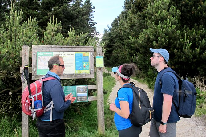 Trek the Tombs and Trails in the Dublin Mountains - Price and Value: Why $180.44 Can Make Sense Here