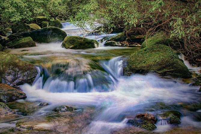 Uncover the Ring of Kerry & Kerry Cliffs -Private Luxury Day Tour - Killorglin at the Start: The Quiet Warm-Up Town