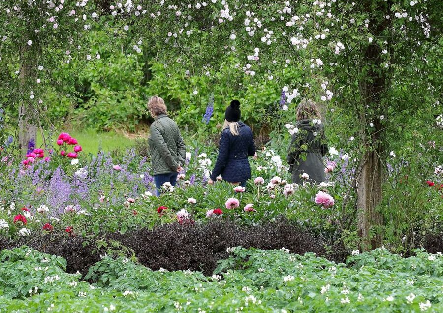 Waterford: Mount Congreve Gardens Entry Ticket - The Gardens Themselves: Plants from Every Continent