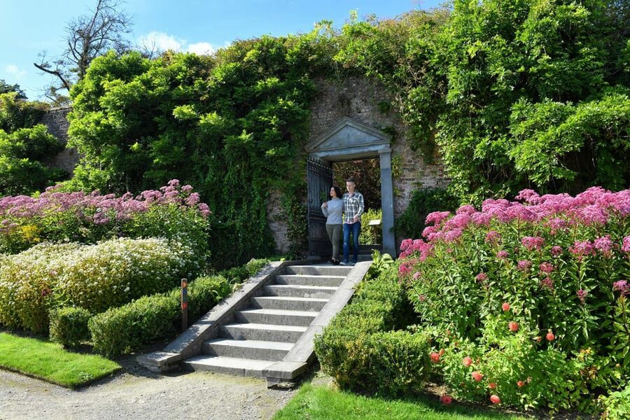 Waterford: Mount Congreve Gardens Entry Ticket - Optional Extras: Guided Gardener Tours and Forest Bathing