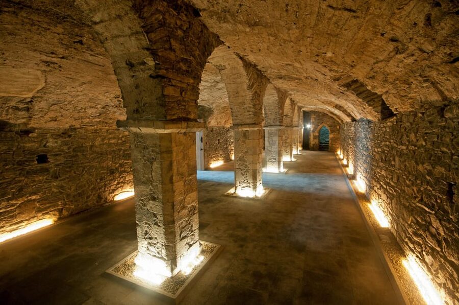 Waterford Treasures: Medieval Museum Entry Ticket - Key Points You Should Know Before You Go