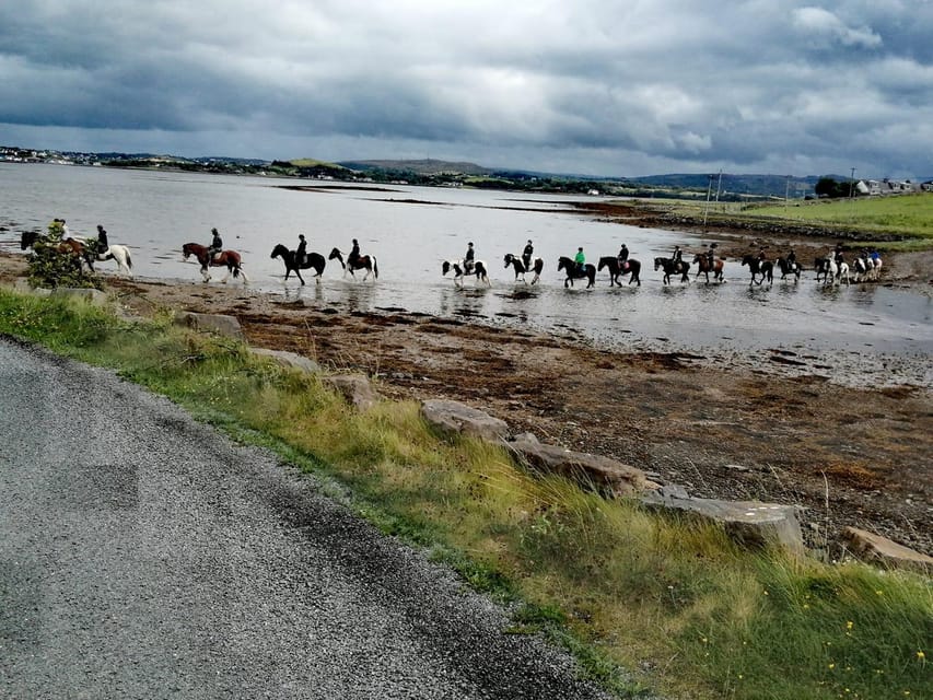 Westport: Beach and Countryside Guided Horse Ride - Price and value: what you get for about $90