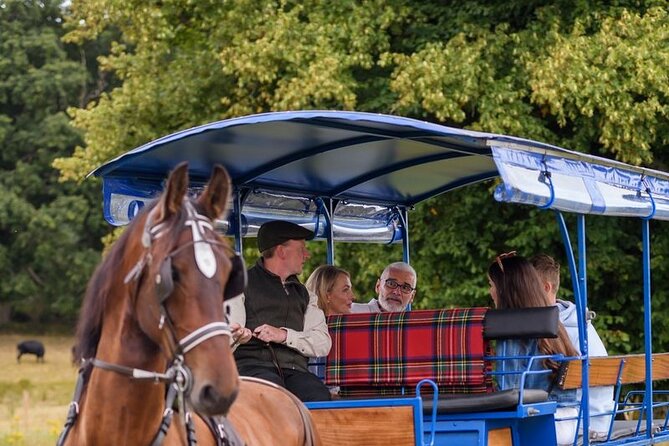 Whiskey & Wonders in Killarney - Key Points You Should Know Before You Go