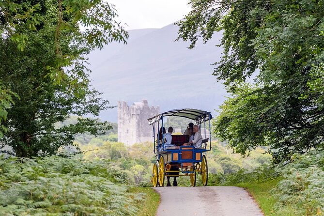 Whiskey & Wonders in Killarney - The Best Part of Killarney National Park, Without the Planning Headache