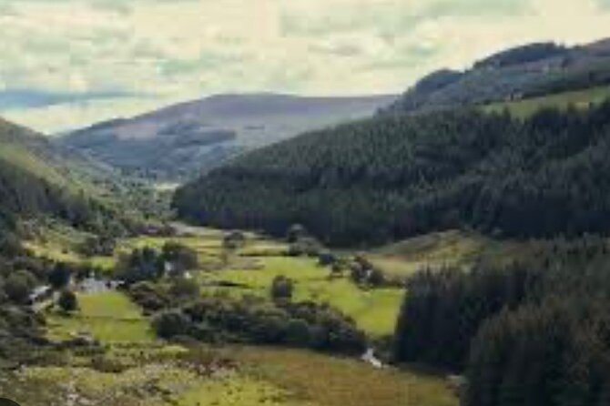 Wicklow and Glendalough Private Chauffeured Sightseeing Tour - Powerscourt Waterfall at 121 Meters: Estate Trees, Then a Big Drop