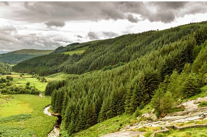 Wicklow and Glendalough Private Chauffeured Sightseeing Tour - Wicklow Time: The Garden of Ireland, Trails, and Lake Views